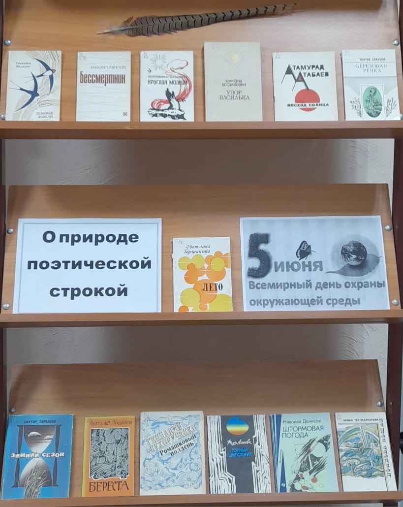 _05.06.2025_Выставка__рекомендация_О_природе_поэтической_строкой_в_Верхоломовском_отделе.jpeg