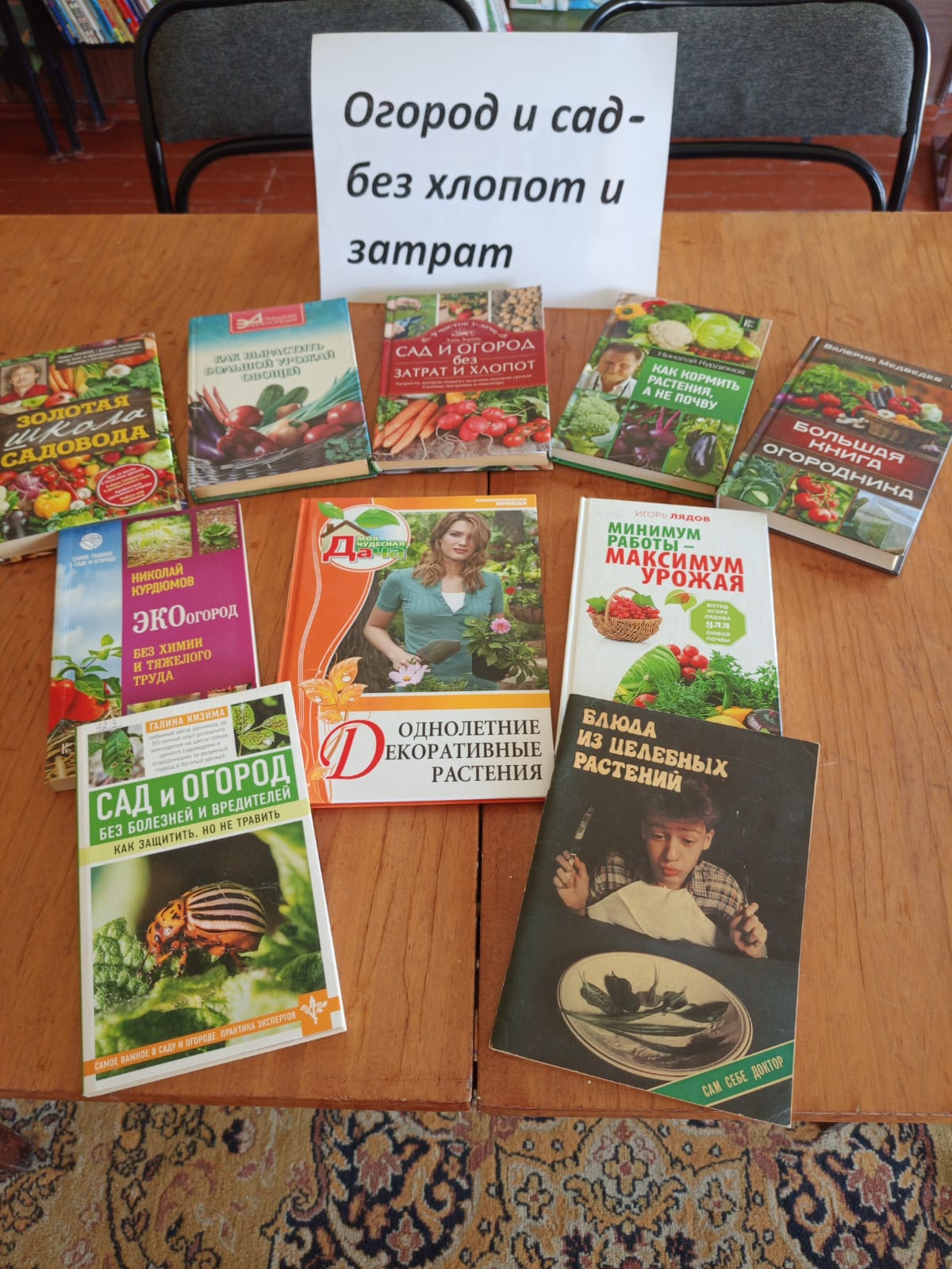 _3_25.07.2025_Обзор_книжной_выставки_Огород_и_сад_без_хлопот_и_затрат_в_Красночабанском_отделе.jpeg