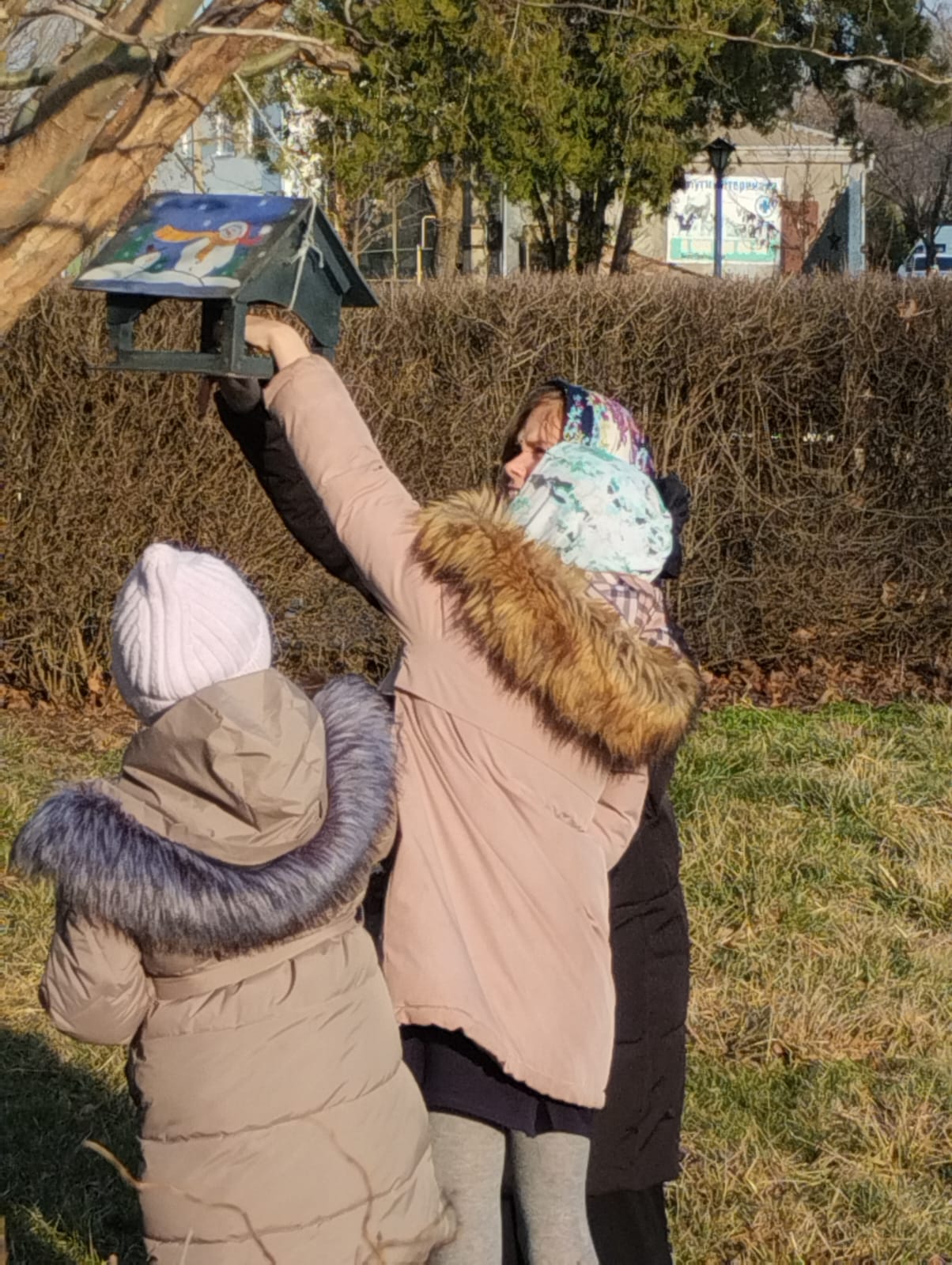 Фото 3. 15.02.24 День добрых дел Трудно птицам зимовать надо птицам помогать. ДБ