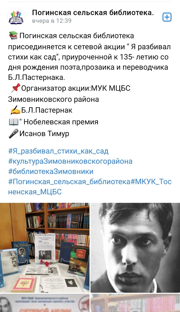 Фото 3 Итоги сетевой акции Я разбивал стихи как сад